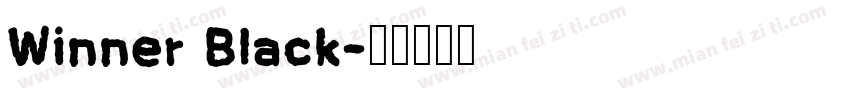 Winner Black字体转换